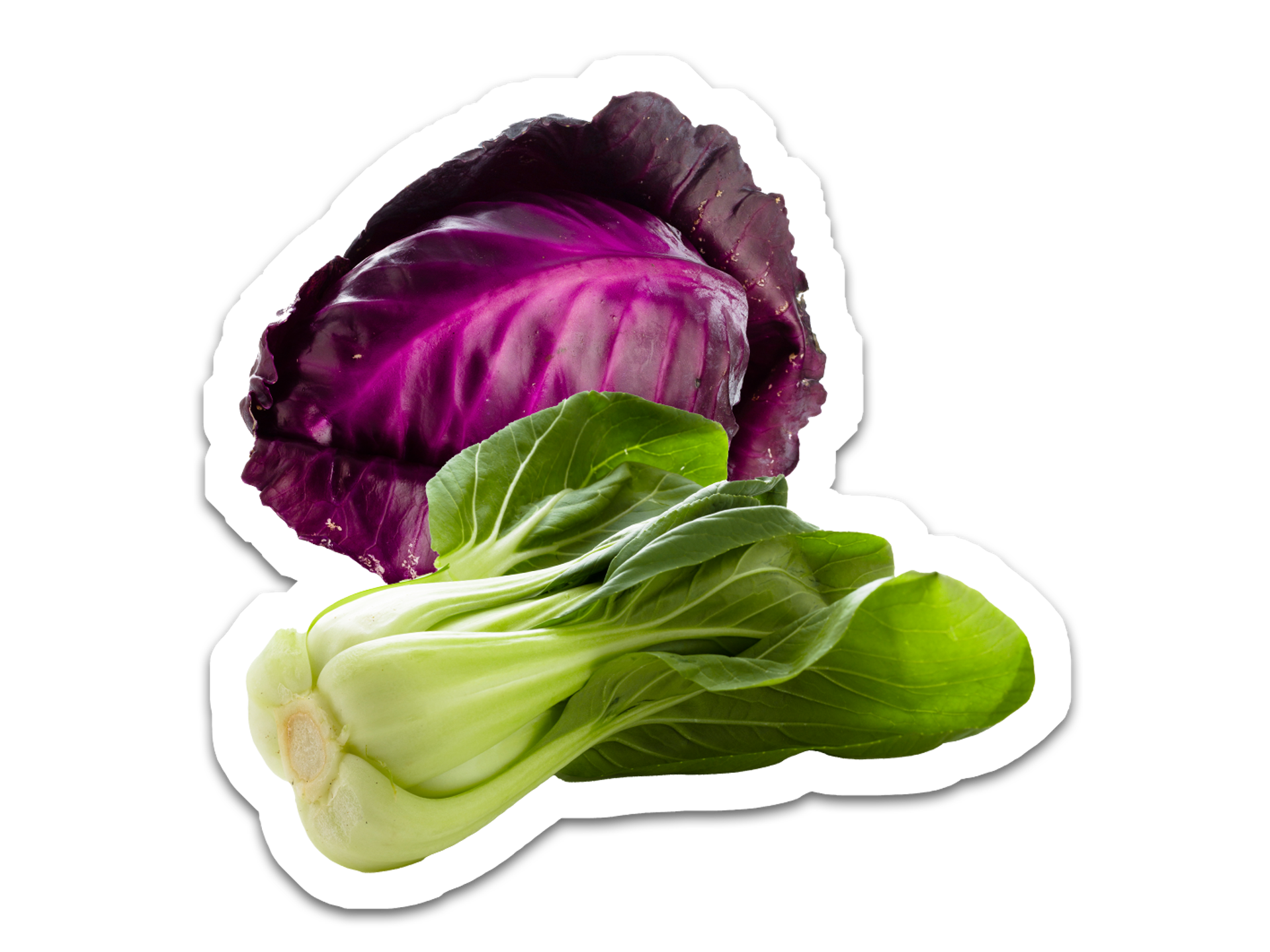 Gocook Menuikoner Leksikon 200821
