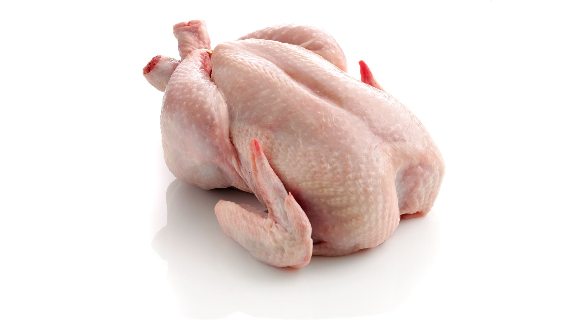 Kylling -
