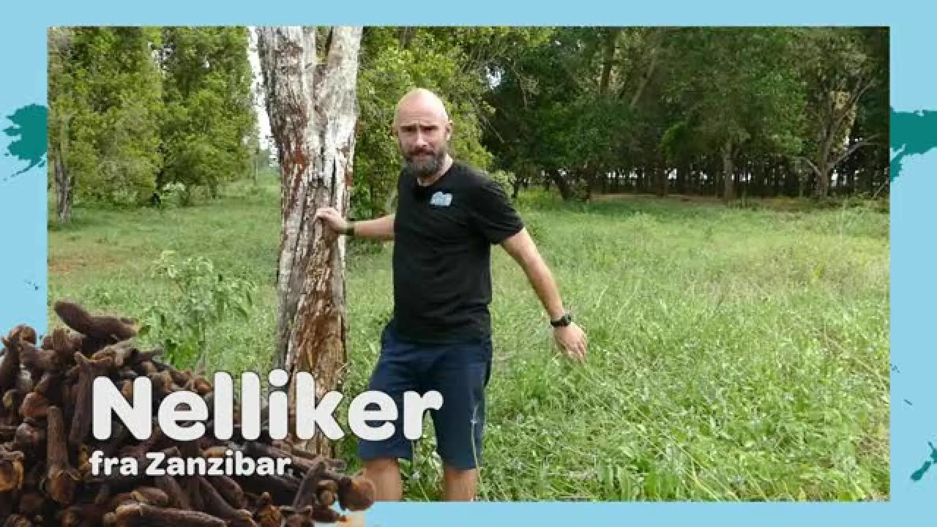 Film 16: Mikkel er på jagt efter Nelliker og kanel